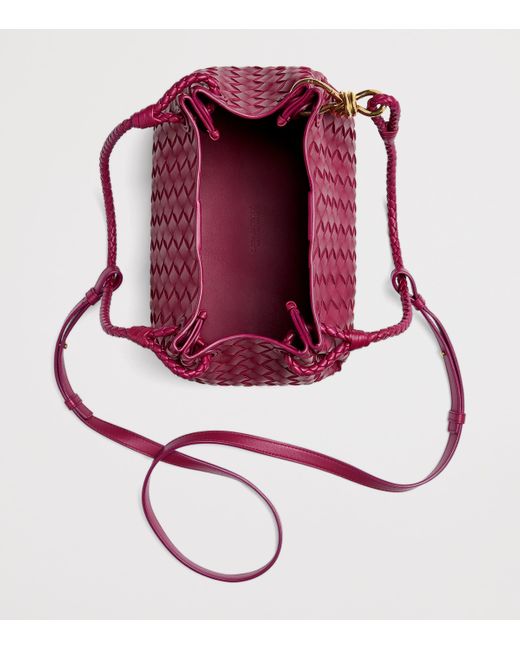 Bottega Veneta Purple Leather Parachute Shoulder Bag