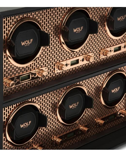 Wolf Black Axis 6-Piece Watch Winder