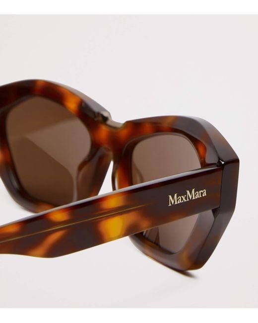 Max Mara Brown Acetate Bold Sunglasses