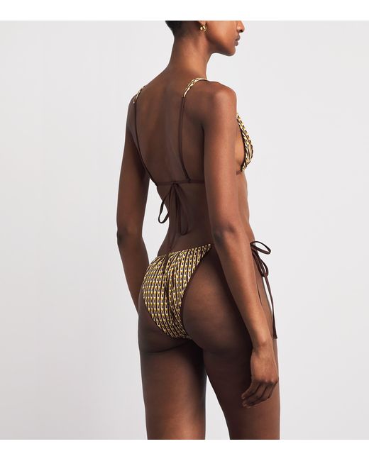 Sir Brown Geometric Cooper Bikini Bottoms