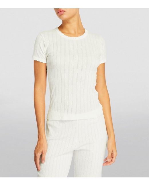 Leset White Rib-Knit Pointelle T-Shirt