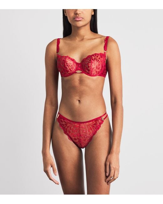 Aubade Red Cotton Crazy