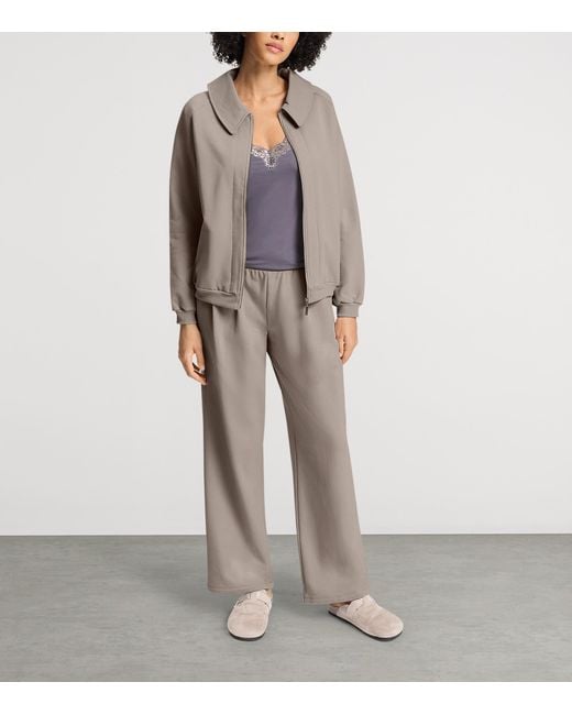Hanro Gray Cotton Natural Living Cardigan