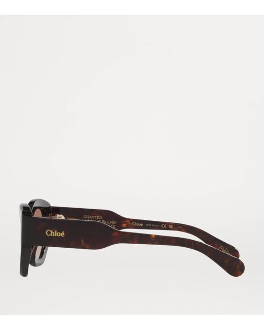 Chloé Brown Acetate Ch0220S Sunglasses