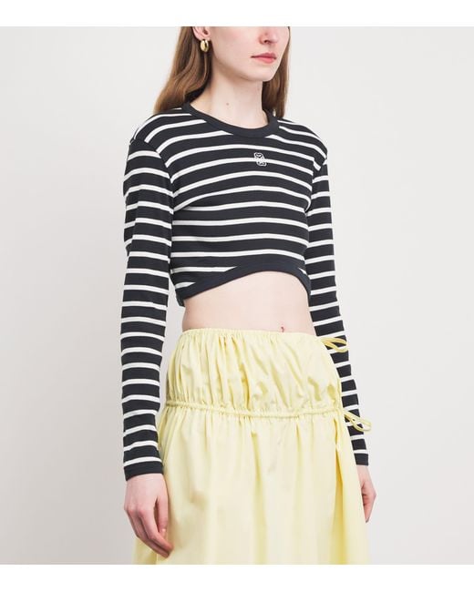 Sandro Black Cotton Stripe Crop Top