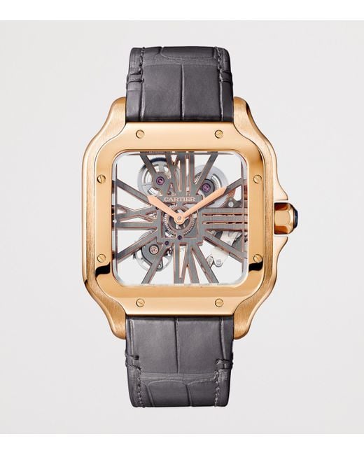Cartier Metallic Large Santos De Skeleton Watch for men