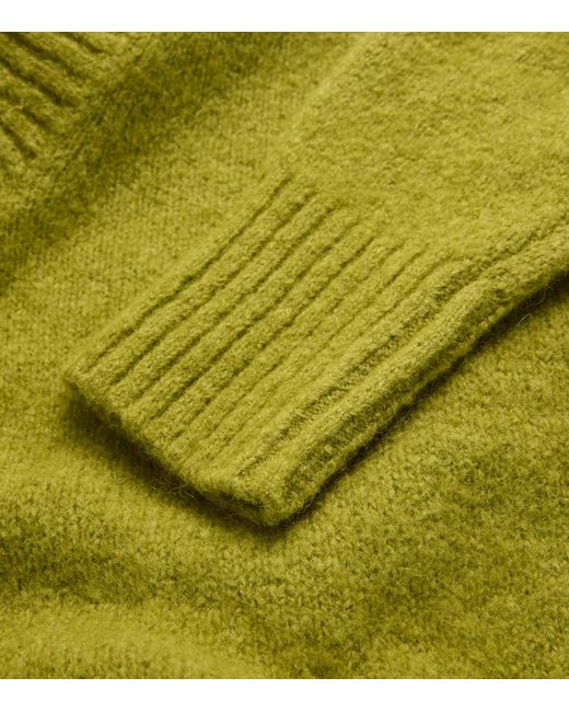 Weekend by Maxmara Green Alpaca-Blend V-Neck Sweater