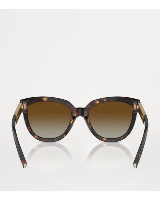 Tiffany & Co Brown Acetate Cat Eye Sunglasses