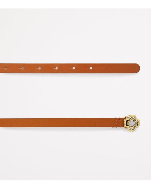 Maje Brown Leather Logo Thin Belt