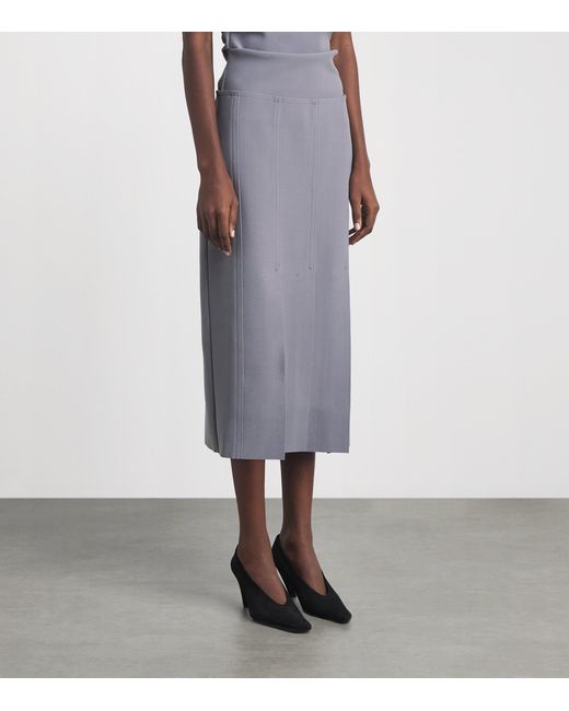 Birrot Gray Lay 2 Pleated Midi Skirt