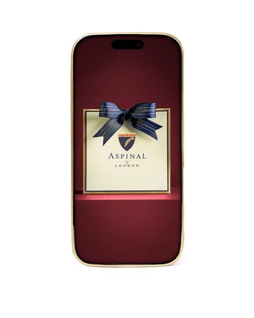 Aspinal Brown Leather Iphone 16 Pro Case