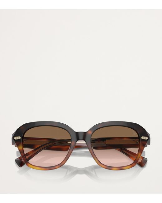 Brunello Cucinelli Brown Titanium Bc4004S Sunglasses