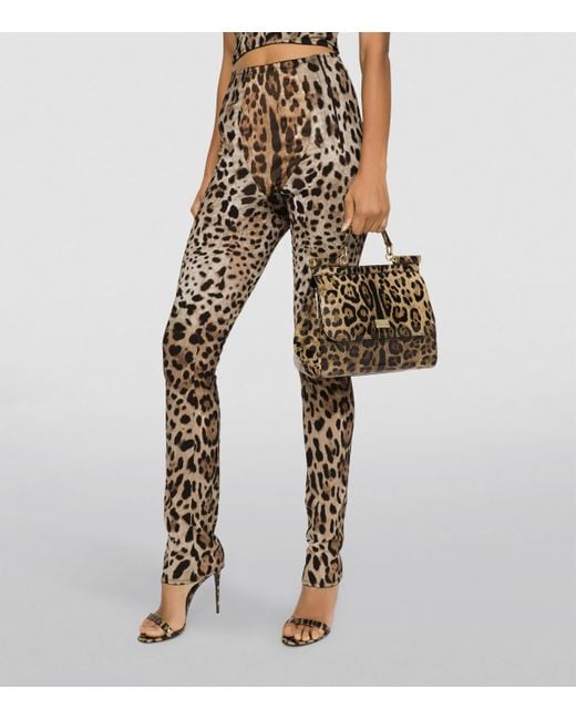 Dolce & Gabbana Brown Kim Dolce&Gabbana Medium Leopard Print Sicily Bag