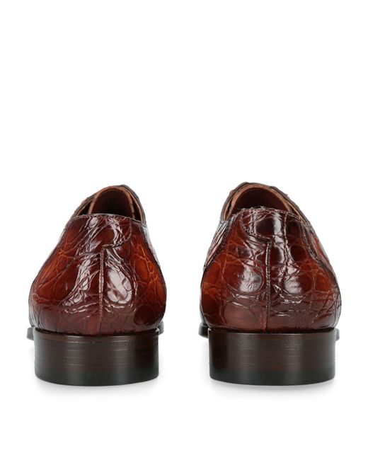 Magnanni Shoes Brown Crocodile Leather Oxford Shoes for men