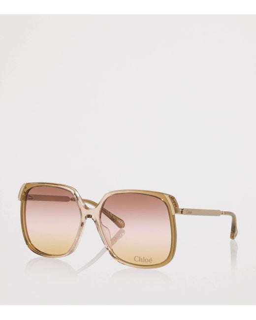 Chloé Brown Acetate Ch0286S Rectangle Sunglasses