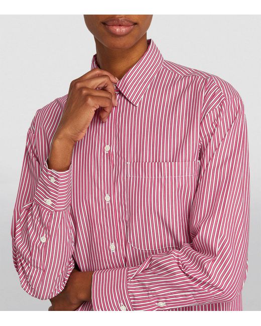 MAX&Co. Pink Cotton Striped Shirt