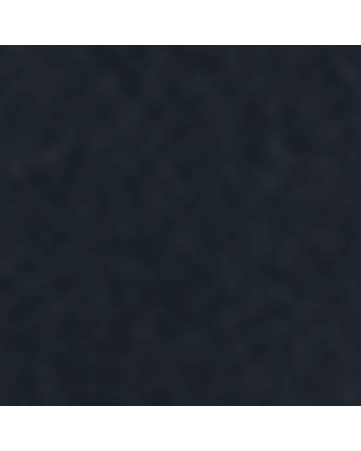 Brioni Blue Silk Tie for men