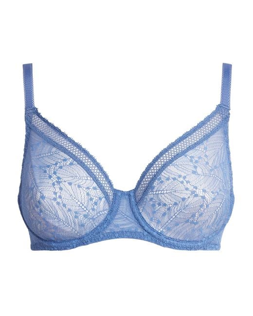 Simone Perele Blue Lace Comète Plunge Bra