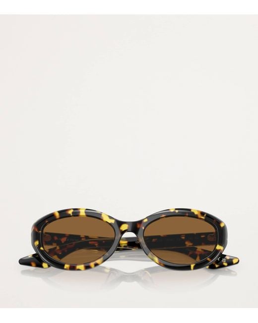 Oliver Peoples Brown Acetate 1969C Sunglasses