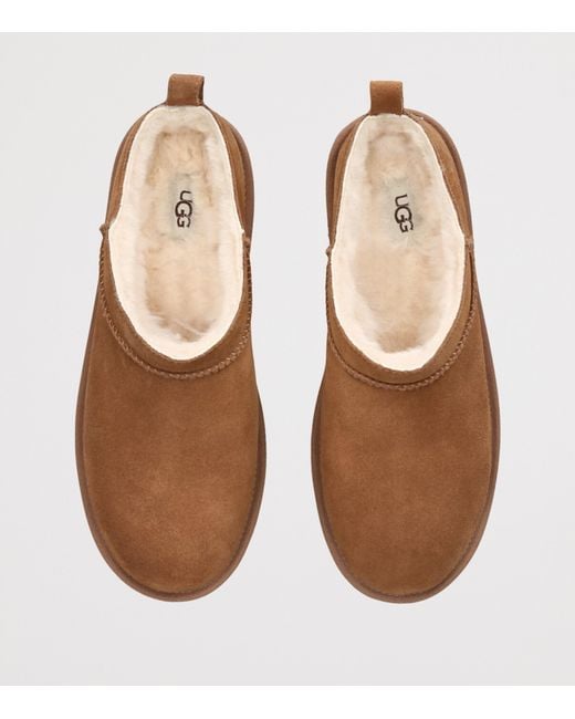 Ugg Brown Suede Classic Micro Boots for men