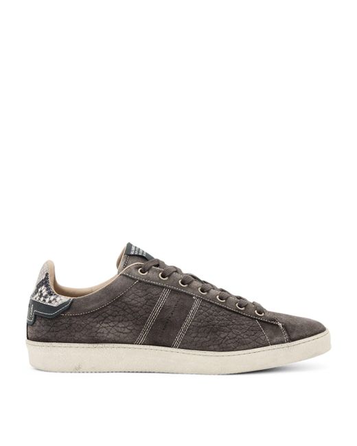 AllSaints Brown Suede Leon Low-Top Sneakers for men