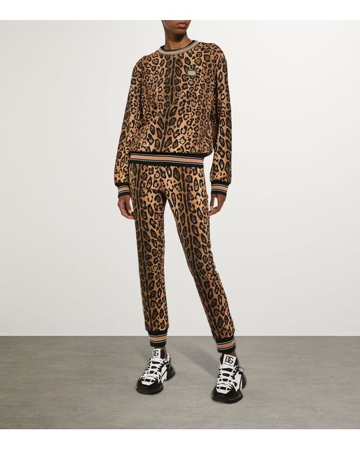 Dolce & Gabbana Multicolor Leopard Print Sweatpants