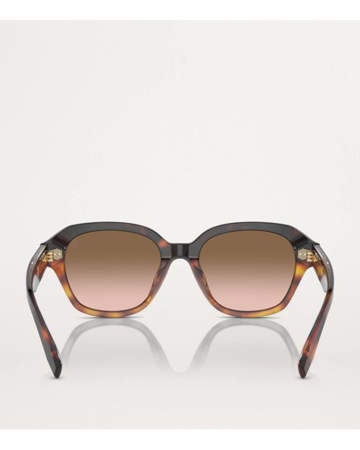 Brunello Cucinelli Brown Titanium Bc4004S Sunglasses