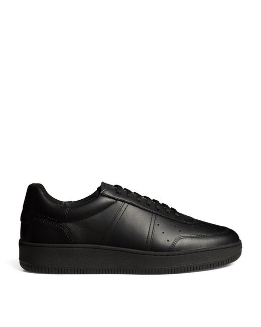 sandro sneakers sale