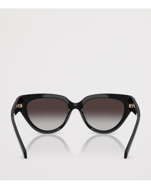 Michael Kors Brown Boca Raton Cat Eye Sunglasses