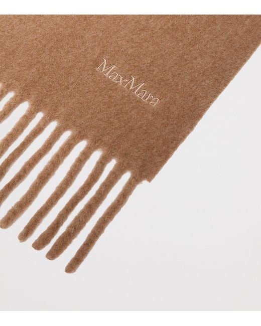 Max Mara Brown Wool Fringed Logo Scarf