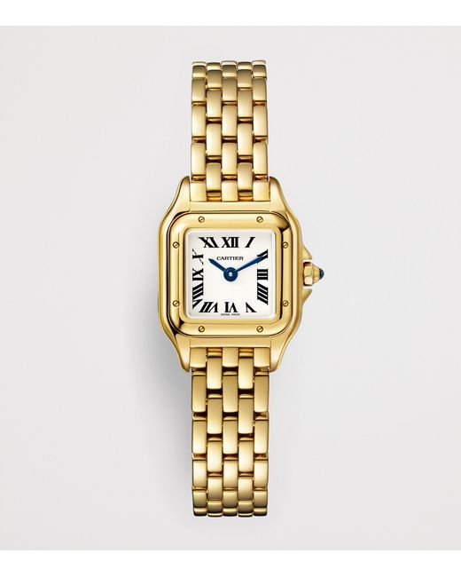 Cartier Metallic Mini Panthère De Watch