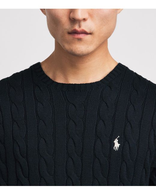 Polo Ralph Lauren Blue Cotton Cable-Knit Polo Pony Sweater for men