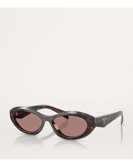 Prada Brown Acetate Pr26Zs Sunglasses