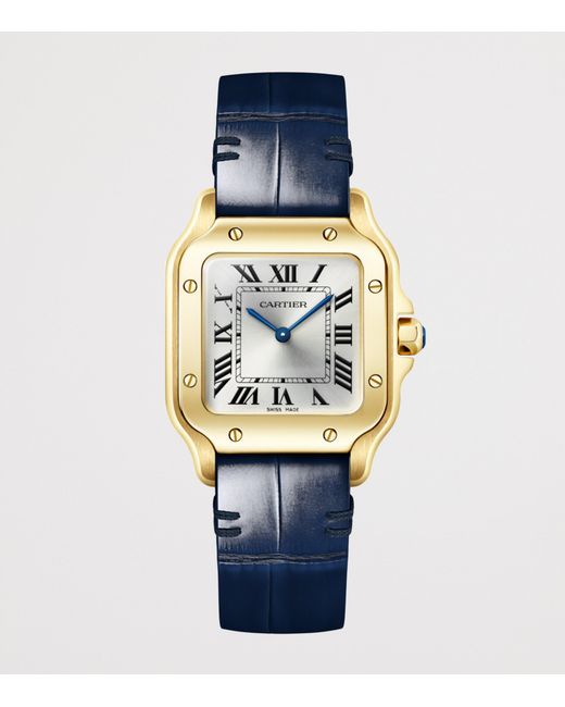 Cartier Metallic Small Santos De Watch
