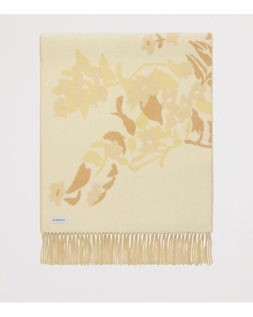 Burberry Natural Wide Floral Ekd Cashmere Scarf