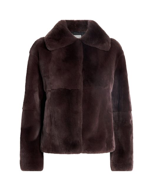 Yves Salomon Brown Mink Collared Jacket