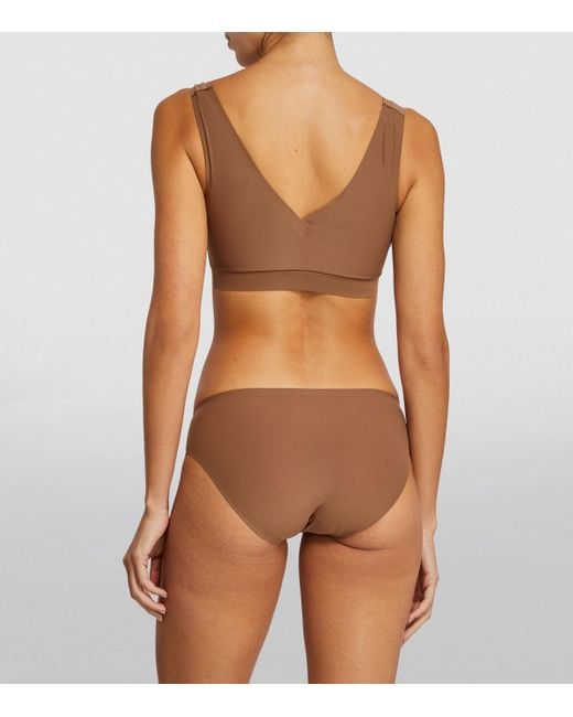 Chantelle Brown Softstretch Padded Bra
