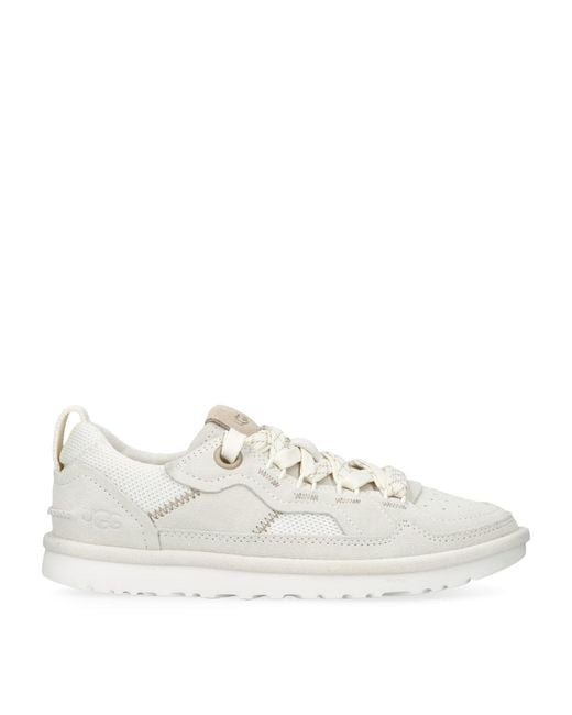 Ugg White Suede Minimel Sneakers