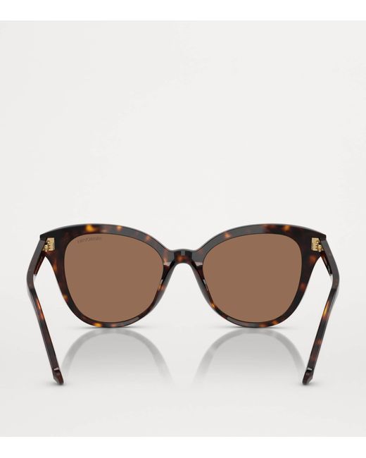 Swarovski Brown Acetate Sk6031 Sunglasses