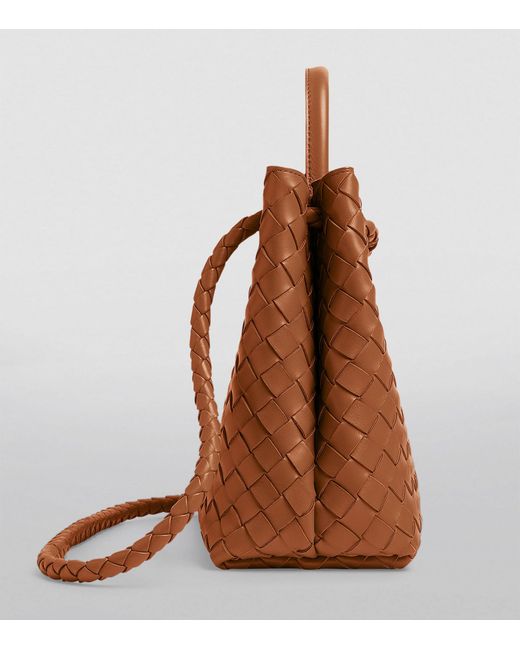 Bottega Veneta Brown Medium Andiamo Top-handle Bag