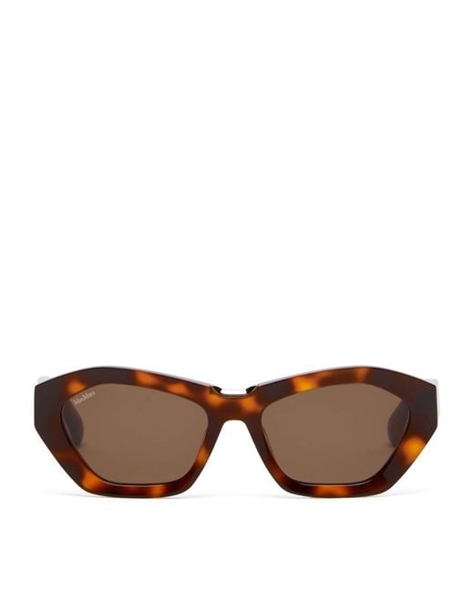 Max Mara Brown Acetate Bold Sunglasses