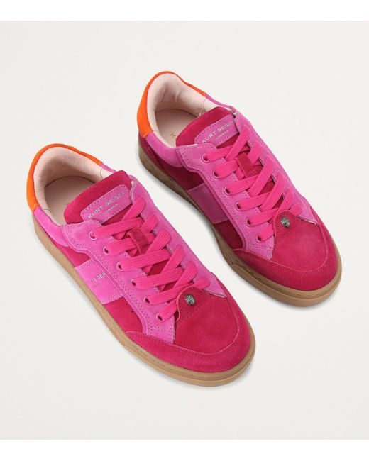 Kurt Geiger Pink Kurt Geiger Trainer Fuchsia Suede Kensington