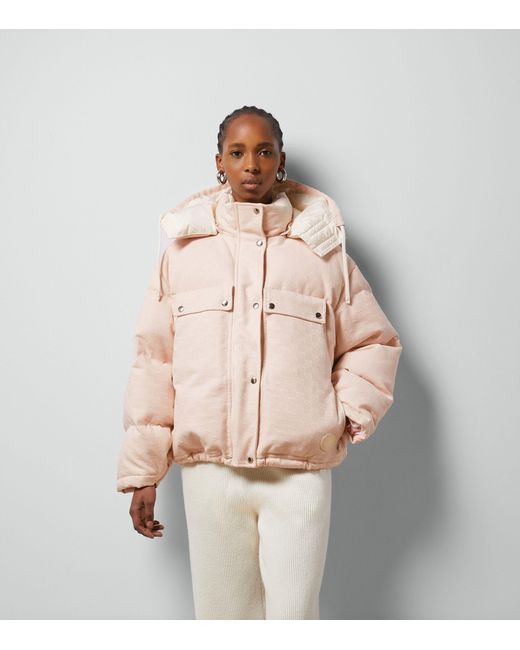 Gucci Natural Cotton-canvas Puffer Jacket