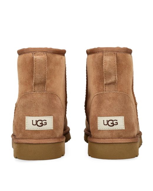 Ugg Brown Suede Mini Boots