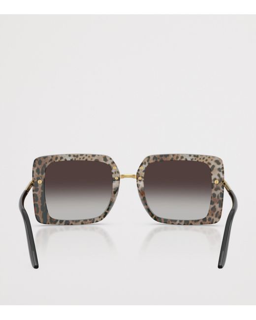 Dolce & Gabbana Brown Acetate Dg4481 Dna Square Sunglasses