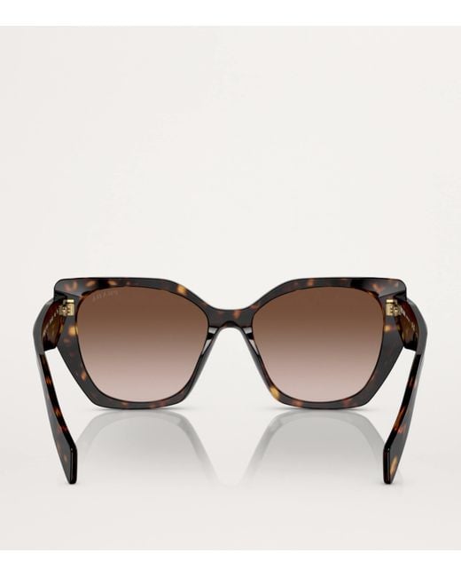 Prada Brown Acetate Pr 19Zs Sunglasses