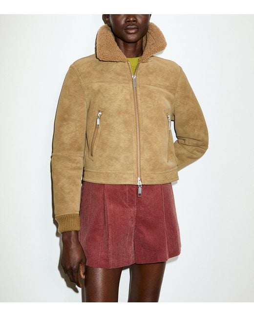 MAX&Co. Brown Faux Shearling Collar Aviator Coat