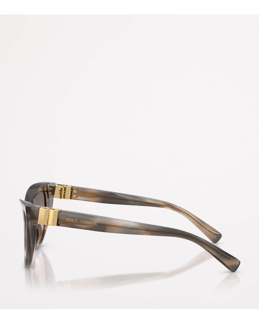 Dolce & Gabbana Brown Cat Eye Sunglasses