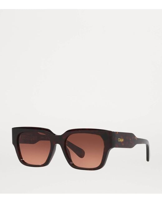 Chloé Brown Square Sunglasses