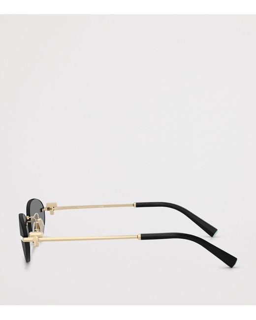 Tiffany & Co Metallic Metal Tf3119D Oval Sunglasses